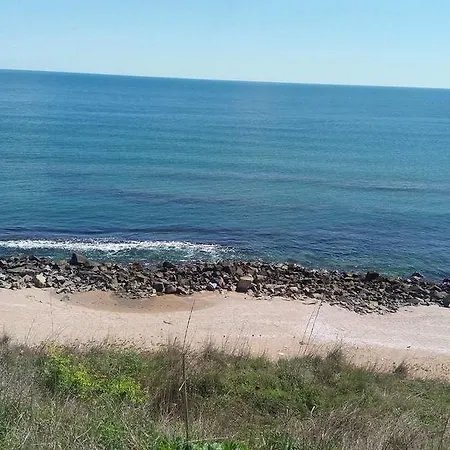 Niya צ'רנומורץ